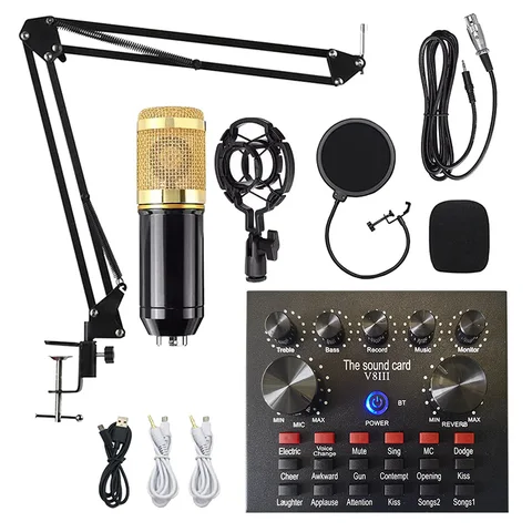 Carte son V8 + microphone Bm800