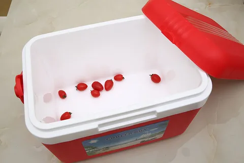 Glacière portable de comping 8 litres