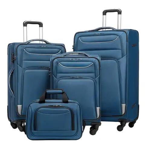 Ensemble 4 bagages légers Softshell avec serrure TSA Valise Spinner bleues argentée personnalisable